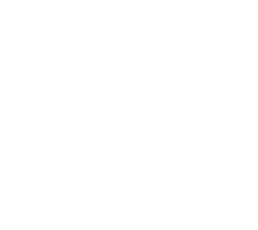 Wild Willy